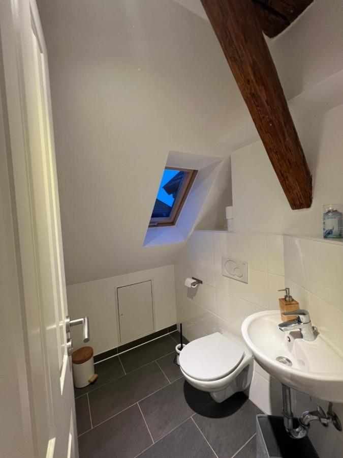 Ludwigshome Zentralste Lage, Klima, Smarttv, Terrasse 路德维希堡 外观 照片