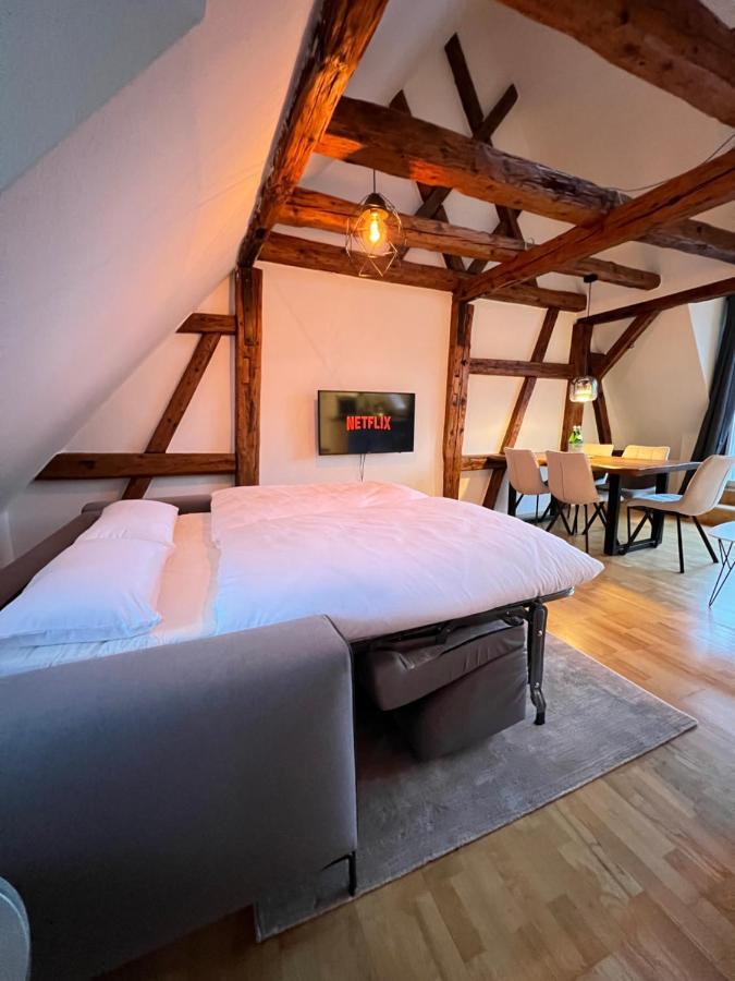 Ludwigshome Zentralste Lage, Klima, Smarttv, Terrasse 路德维希堡 外观 照片