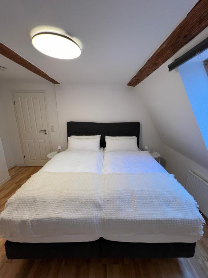 Ludwigshome Zentralste Lage, Klima, Smarttv, Terrasse 路德维希堡 外观 照片